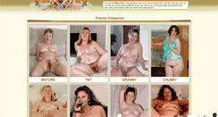 Desktop Screenshot of nice-oldies.com